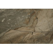 Rozkladací jedálenský stôl 41451 130/190 x 100cm Marble Look Taupe Ceramik Rozkladací jedálenský stôl 41451 130/190 x 100cm Marble Look Taupe Ceramik