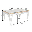 Konferenčný stôl 44365 Modern Barock Barracuda 100x60cm