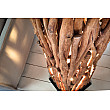 Stojaca lampa 40484 Nature Art 175cm Prírodná Logan Drevo Stojaca lampa 40484 Nature Art 175cm Prírodná Logan Drevo