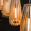Luster 74-48 4L Launch Drevo Mango Luster 74-48 4L Launch Drevo Mango
