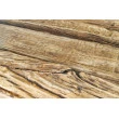 Jedálenský stôl Barracuda 43342 220x100cm Masív drevo Teak