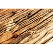 Knižnica/Regál Barracuda 43616 140cm Drevo Teak