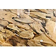 Konferenčný stôl Riverside 43199 80x80cm Drevo Teak