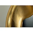 Zrkadlo Aura 48187 93x55cm Zlaté